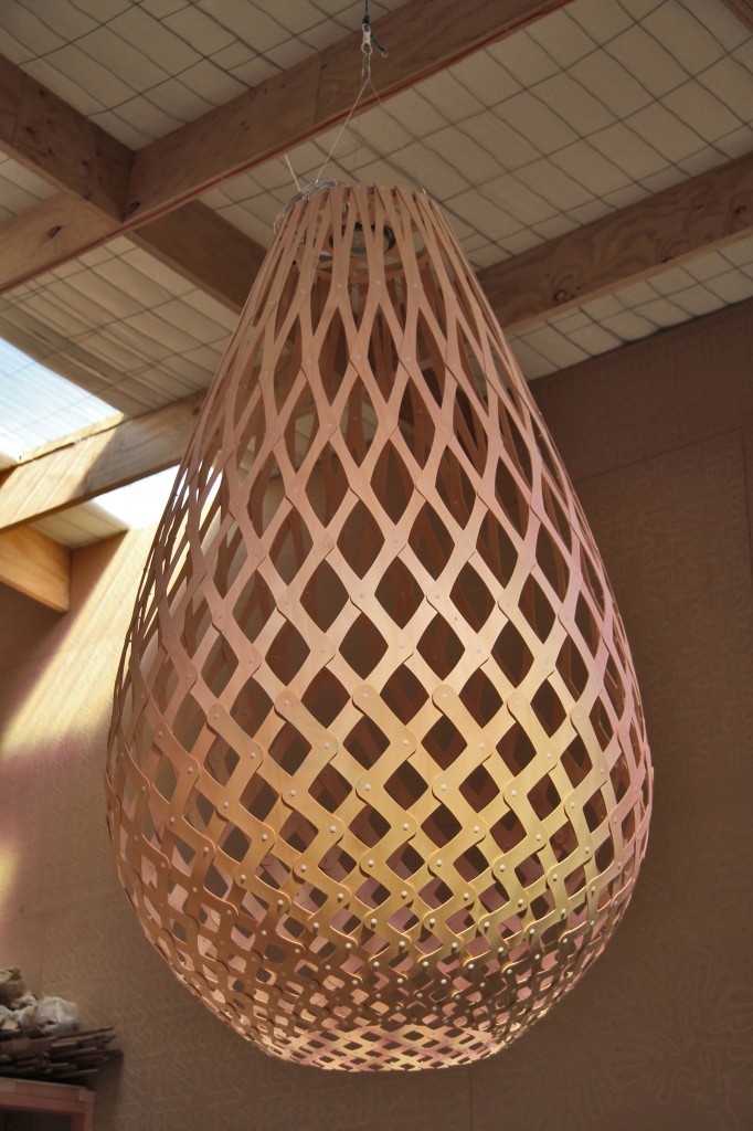Koura1600insitu