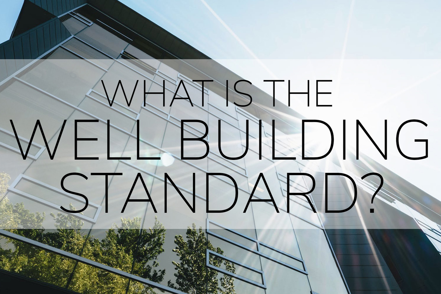 The Well Building Standard